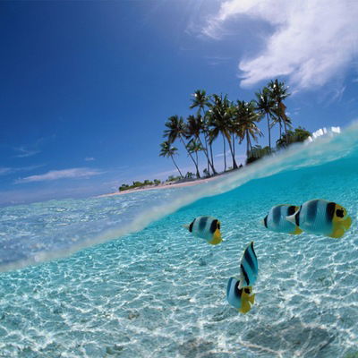 Лилия Сацкевич