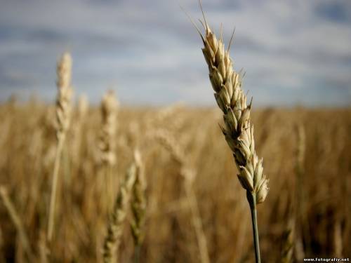 Канат Кусаинов