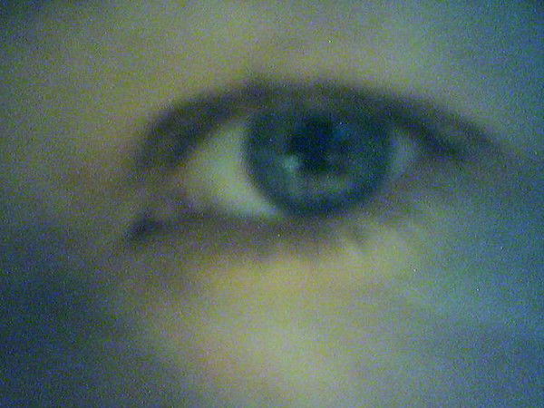 Саша Кречет