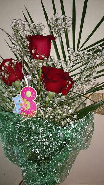 Аида Мурадова