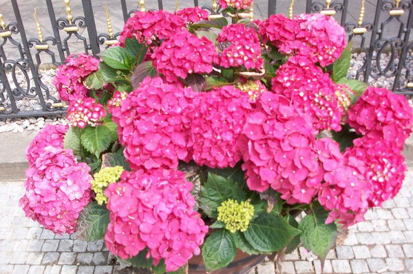 Киричук Ольга