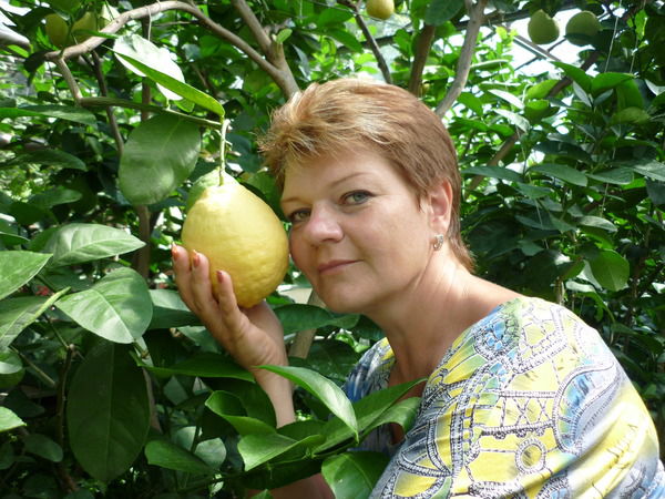 Елена Миридонова