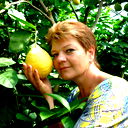 Елена Миридонова