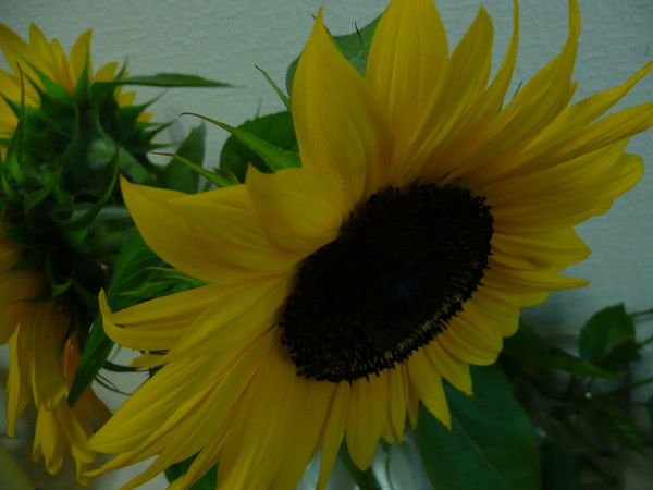 Андрей Калинин