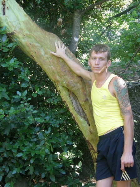 Александр Терещенков