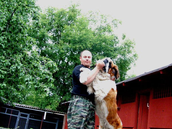 Сергей Шешин