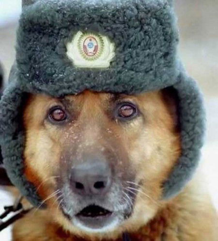 Дмитрий Росугбу