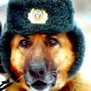 Дмитрий Росугбу