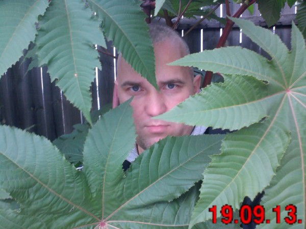 Сергей Толстой