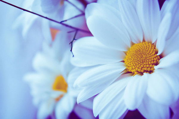 Guljaina Kairguzhina