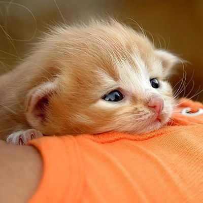 Наталия Смирнова