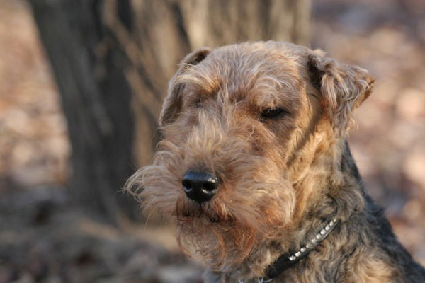 Ольга Ефременкова