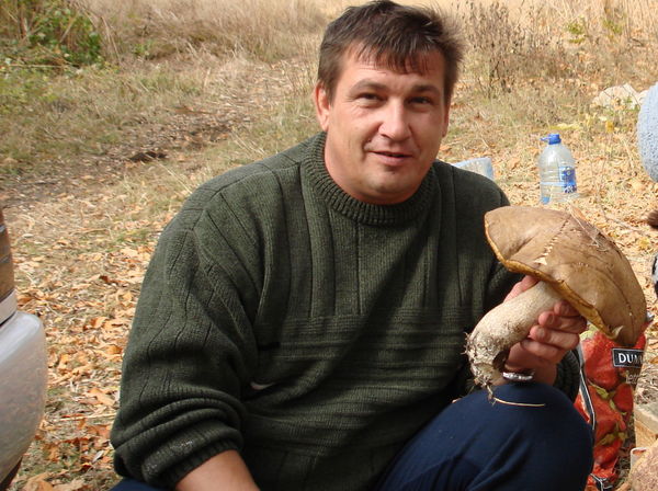 Дмитрий Коренченко