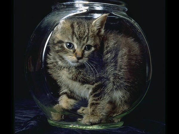 Марина Беркович