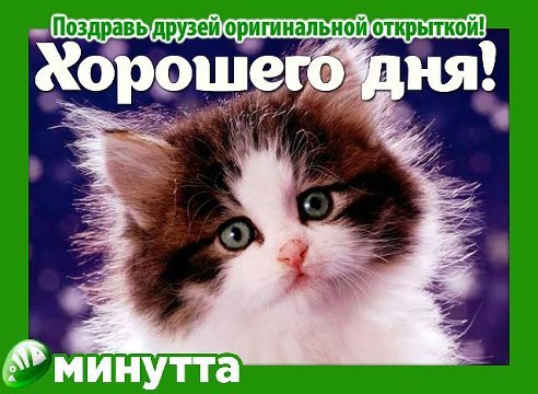 Виктория Пурик