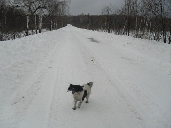 Адилия Горская