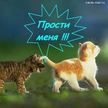 Денис Александрович