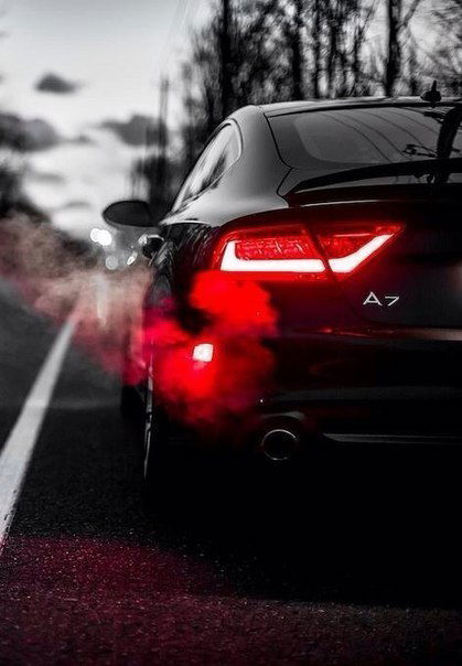 Алексей Павлов