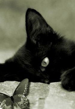 (:маришка:) (:rubalkina:)