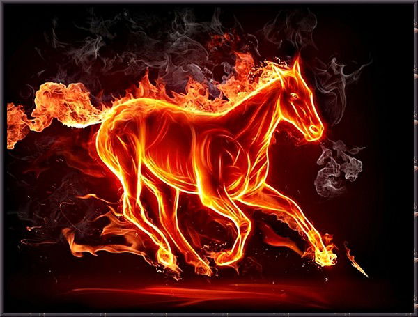 Сымбат Мусина