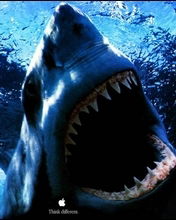 Максим Кудряшов