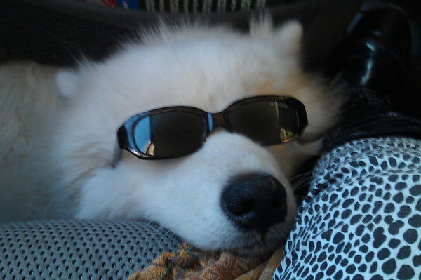 Катерина Нескородеева