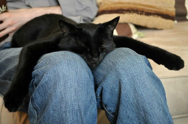 Юля Коннова