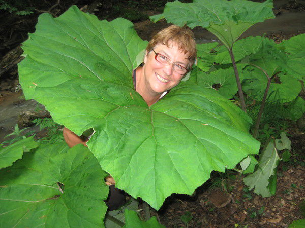 Людмила Орел