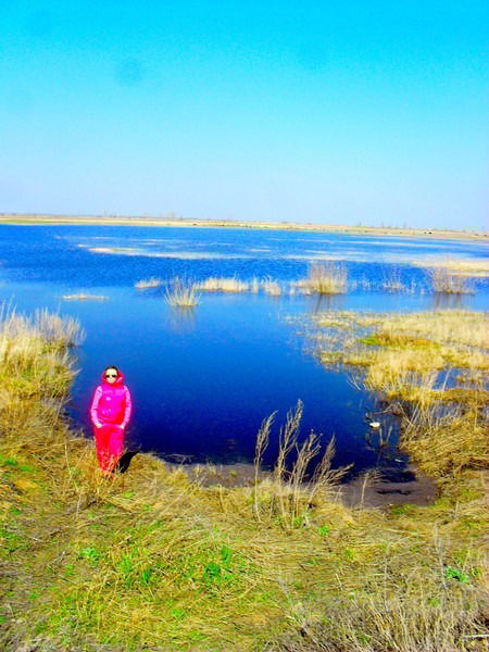 Алёна Аникеева