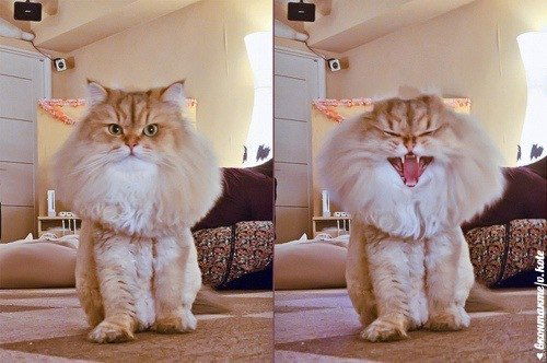 Александр Макаров