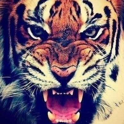 Виктория Абрамова