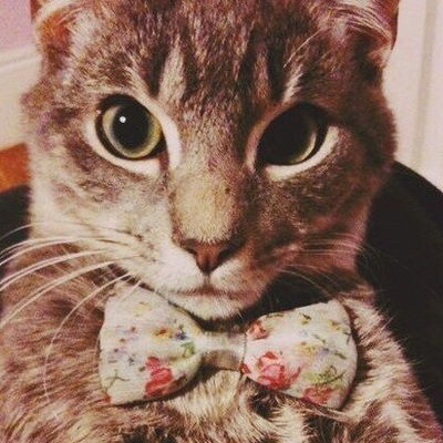 Непредсказуемая Девушка