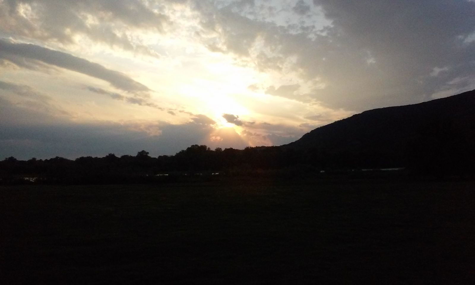 Светлана Савицкая