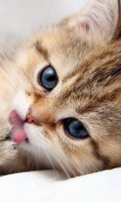 Ксения Малиновских