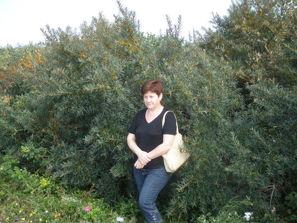 Елена Козлова