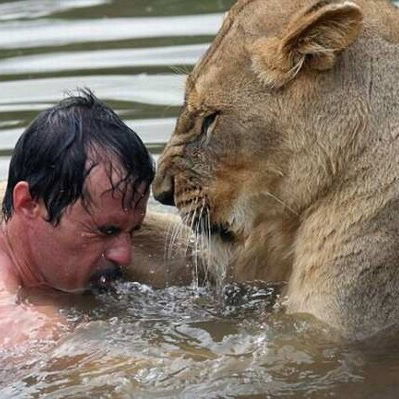 Тимур Бекмурзиев