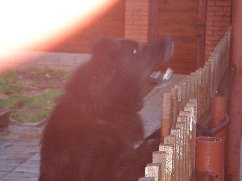 Дмитрий Аксенов