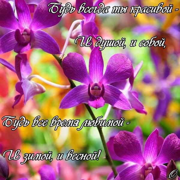 Ляйля Сагитова