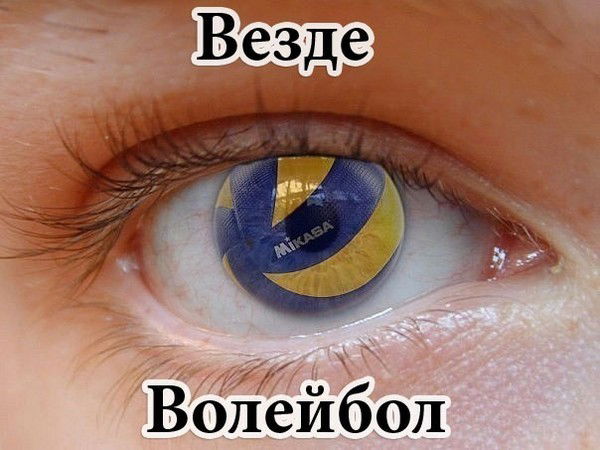 Егор Пимахин