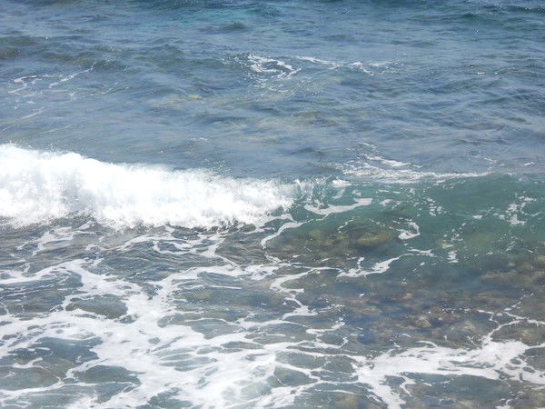 Алла Строгова