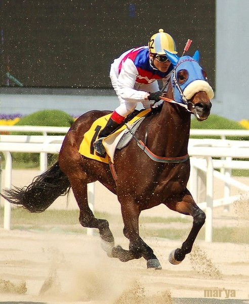 Ольга )) Leilan ((