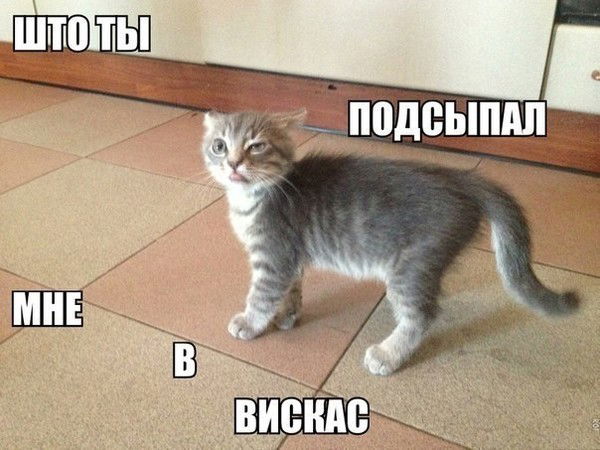 Нютик Титова