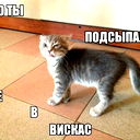 Нютик Титова