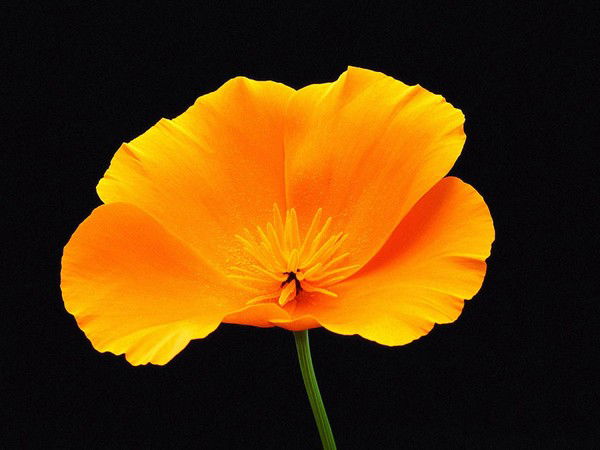 Ирина Ирина