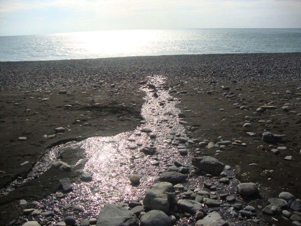 Наталья Осинцева