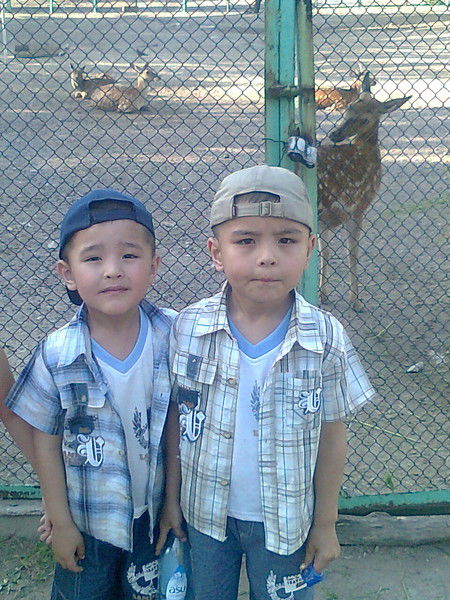 Молдир Алиханова