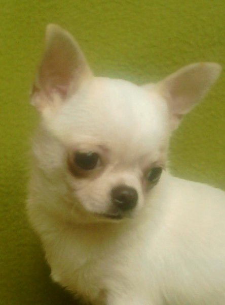 Катя Титаренко