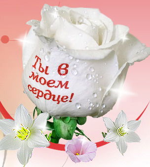 |Аёkа| //ержан0Вна