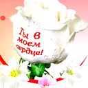 |Аёkа| //ержан0Вна