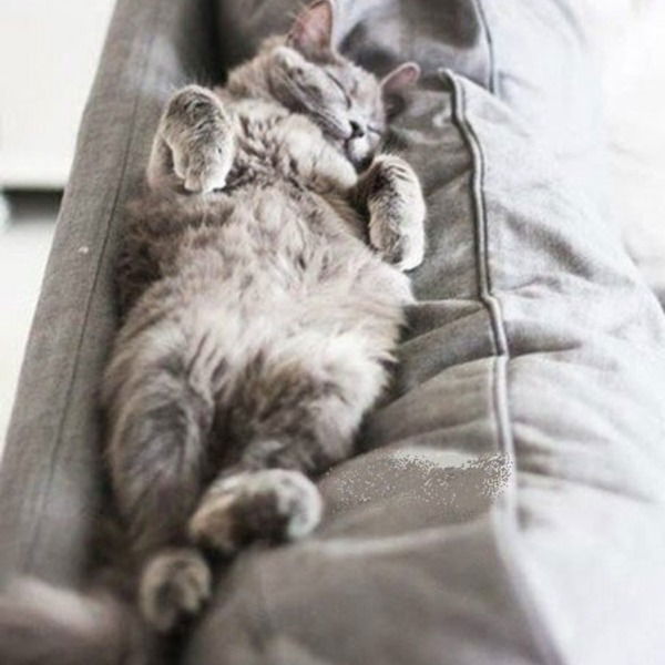 Хе Хе Аля Paris